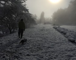 No.13 歩く人―白川 / Walking man-Shirakawa